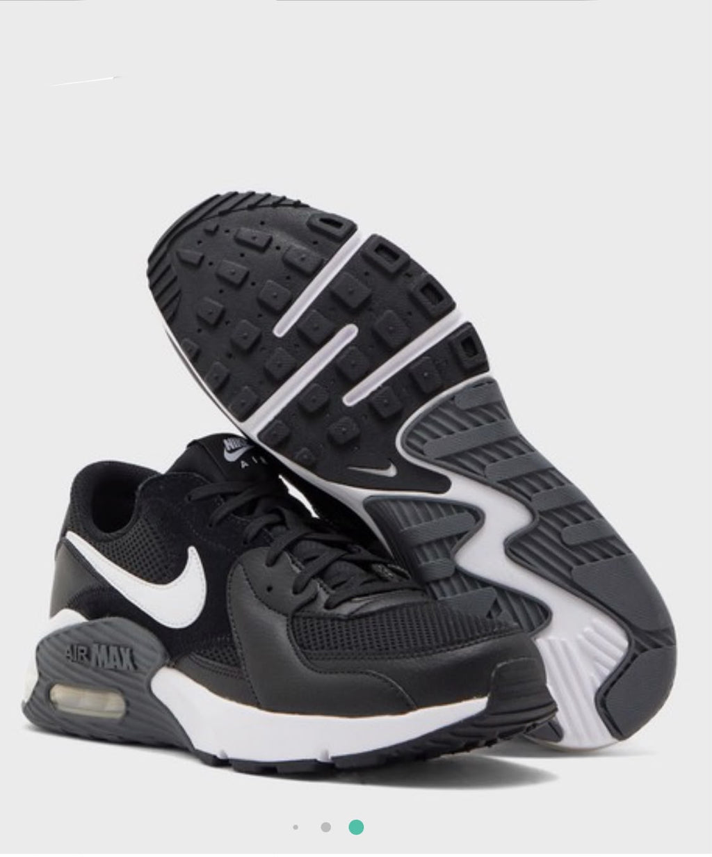 Nike Air Monarch IV